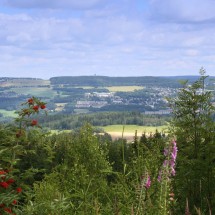 Blick_Richtg_Spiegelwald