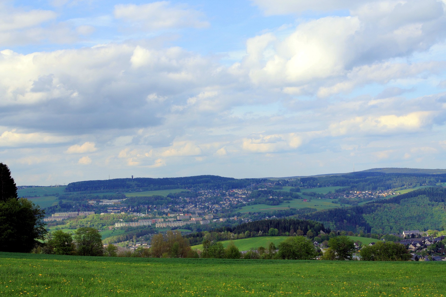 Blick_Spiegelwald-2-2